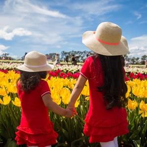 Meet your Posher, Alya